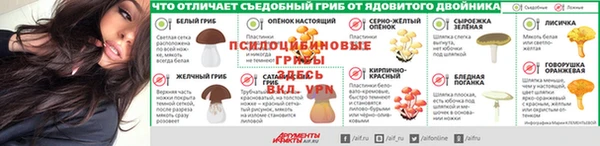 стаф Абаза