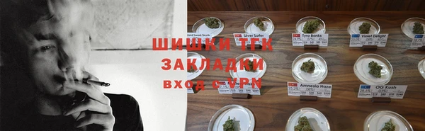 сатива Абинск