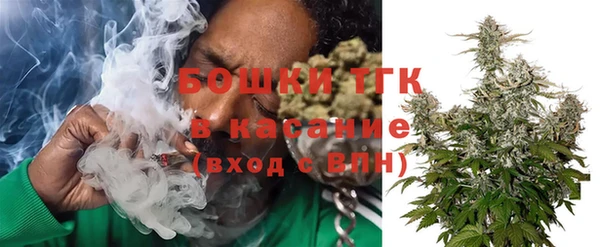 сатива Абинск