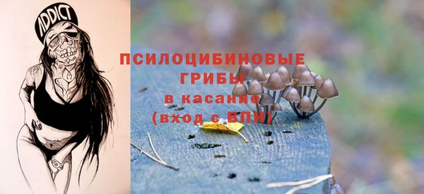 стаф Абаза