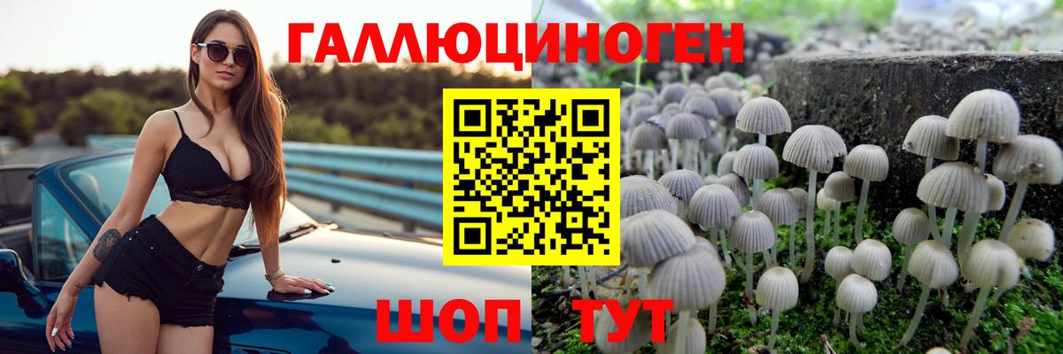 Псилоцибиновые грибы GOLDEN TEACHER  Галлюциногенные грибы мухоморы  Нальчик  Вход с VPN 