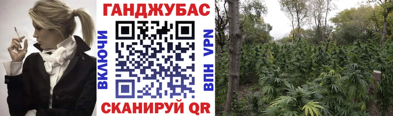 Каннабис конопля  дарк нет наркотические препараты  Нальчик  где купить  